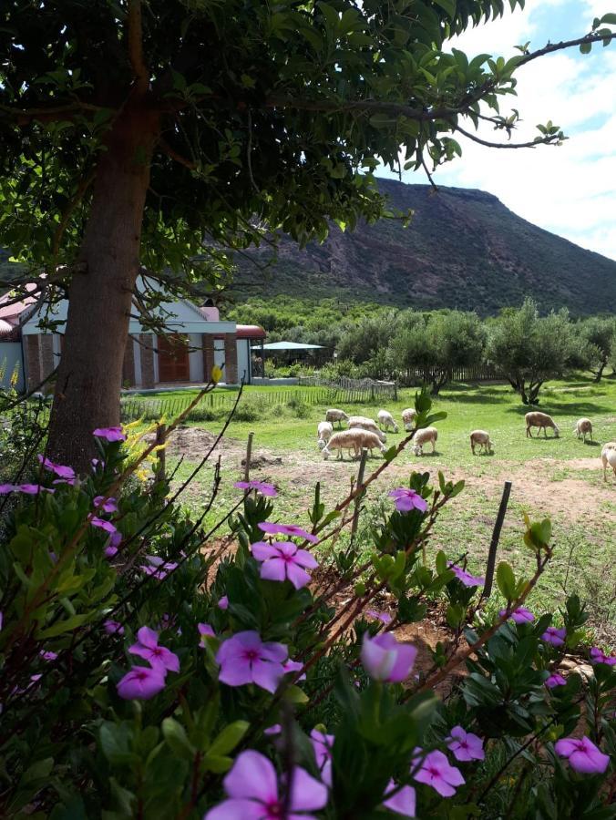 Baviaanskloof Landhuis Studtis Dış mekan fotoğraf
